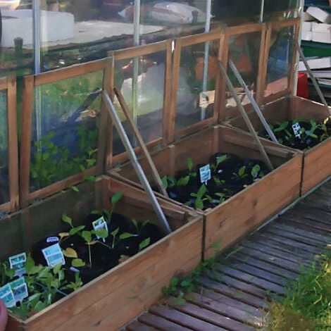 CÉMONJARDIN Serre En Bois Modèle Venezia – Image 2